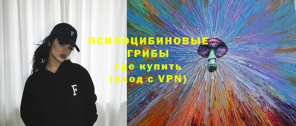 тгк Пестово