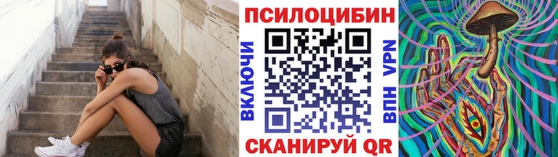 Купить  Щёкино  Псилоцибиновые грибы GOLDEN TEACHER 